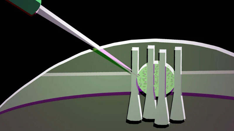 Os cientistas transformaram uma gota de cristal líquido em um transistor óptico flexível para futuros chips fotônicos