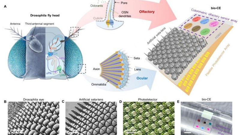 A China desenvolveu um “olho-garrafa” para drones, que oferece visão panorâmica e sensor de odor