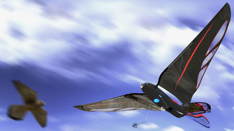 Um engenheiro fabricou um pássaro robótico de 10 gramas que pode atingir até 31 km/h e é controlado por meio de um smartphone