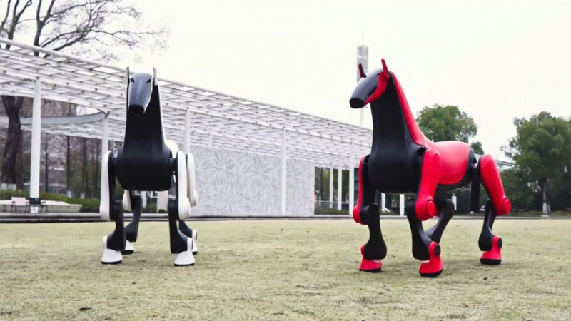 Engenheiros chineses desenvolveram um “robocão”, capaz de transportar um cavaleiro de até 50 kg em terreno acidentado