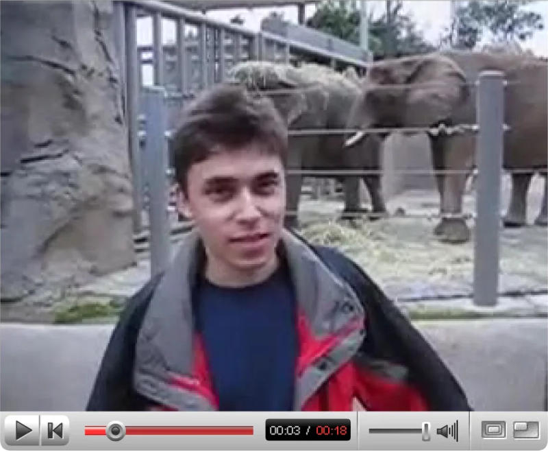 Os primeiros vídeos do YouTube foram incluídos na coleção do museu