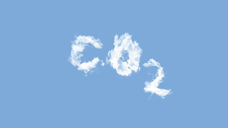 Centenas de milhares se transformaram em dezenas de milhões: a inteligência artificial acelerou o crescimento da demanda por créditos de carbono entre os gigantes tecnológicos