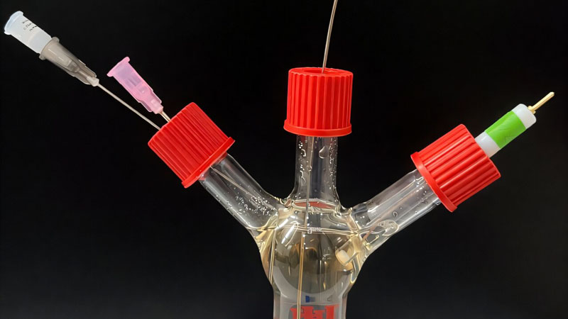 Bactérias foram forçadas a gerar eletricidade quando encontram substâncias perigosas — e isso foi feito “encerrando-as” em uma célula.