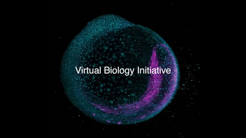 O Biohub de Mark Zuckerberg iniciou a aceleração do tratamento de todas as doenças usando modelos de IA de células