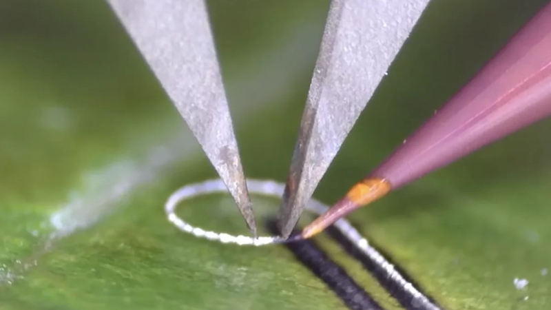 Engenheiros criaram um dispositivo que permite aplicar componentes eletrônicos em tecidos vivos e implantes médicos sem causar danos